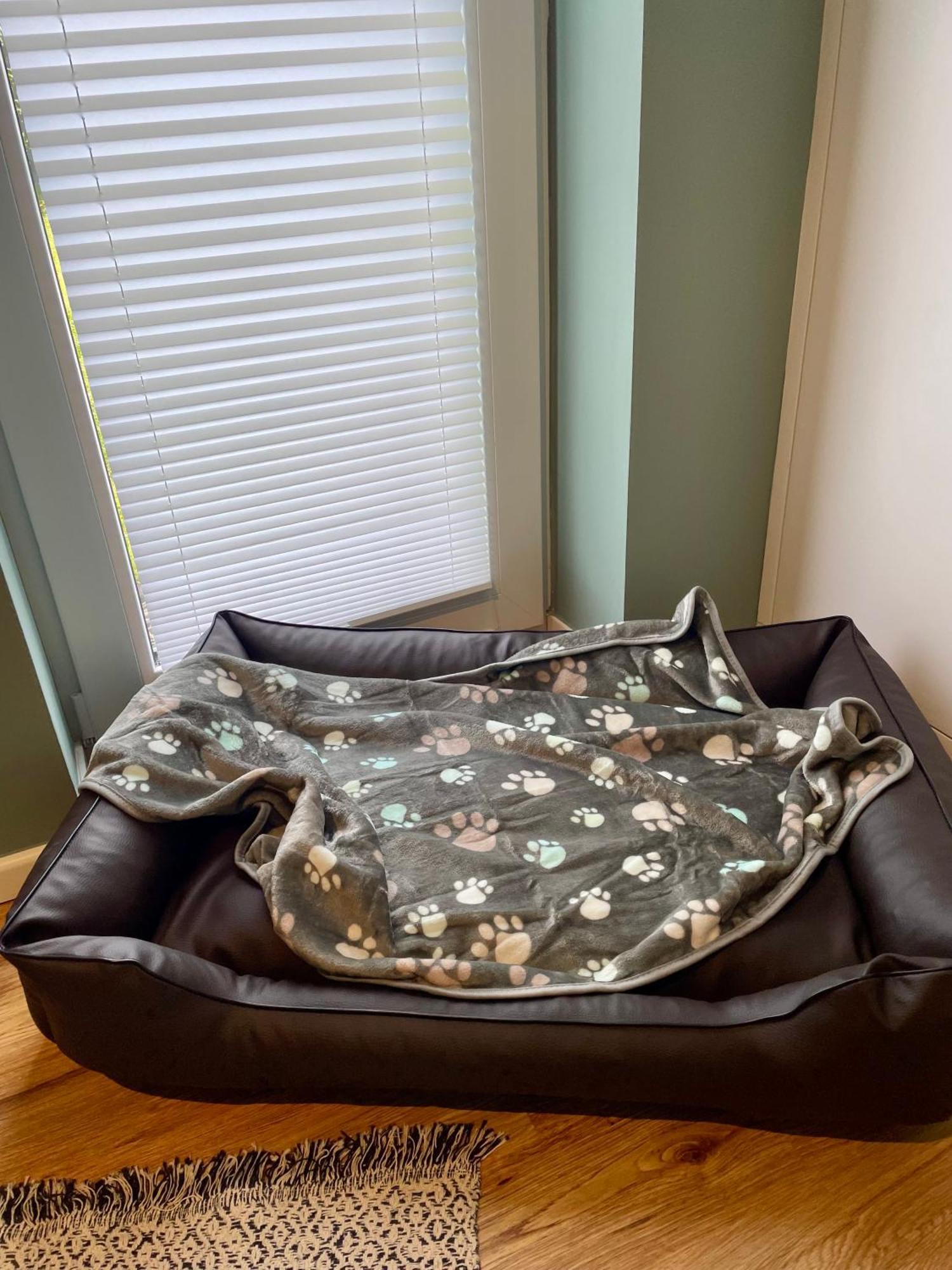 Oase Am See L 2 Sz L Familien Und Hundefreundlich L Sauna I E-Ladesaeule เมอเนอเซ ภายนอก รูปภาพ